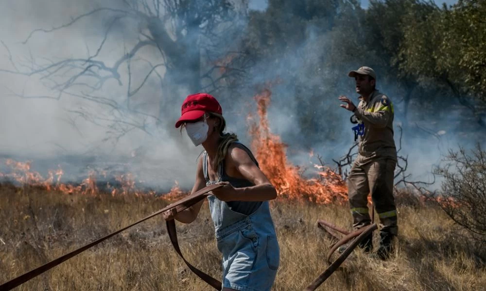 Φωτιά στα Βίλια: Μαρτυρία κατοίκου για το πύρινο μέτωπο